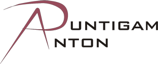Anton Puntigam - Logo